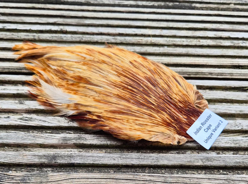 Indian Rooster Cape