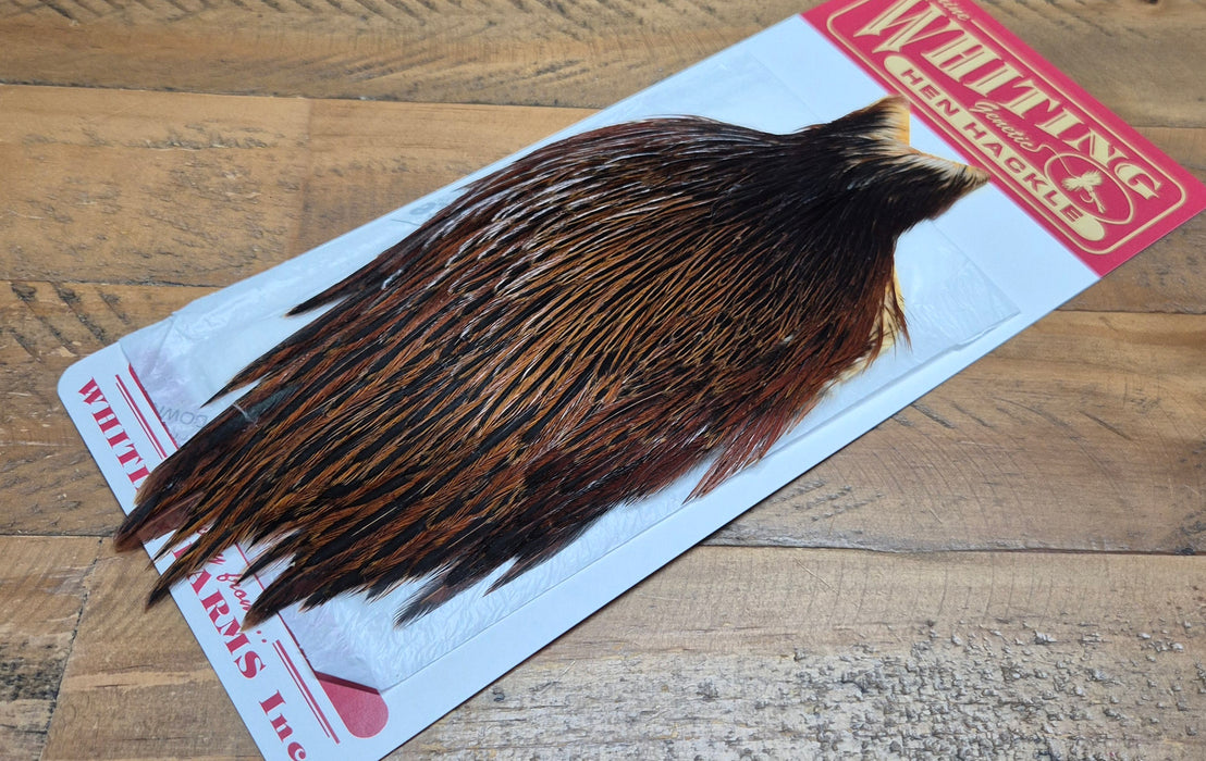 Whiting Farms - Hen Cape