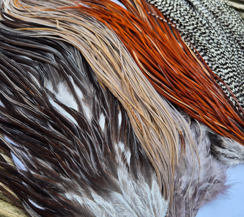 Whiting Farms - Introductory Hackle Pack - Four 1/2 Saddles