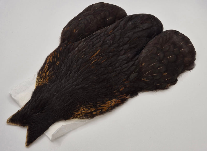 Whiting Farms 4Bs Hen Cape