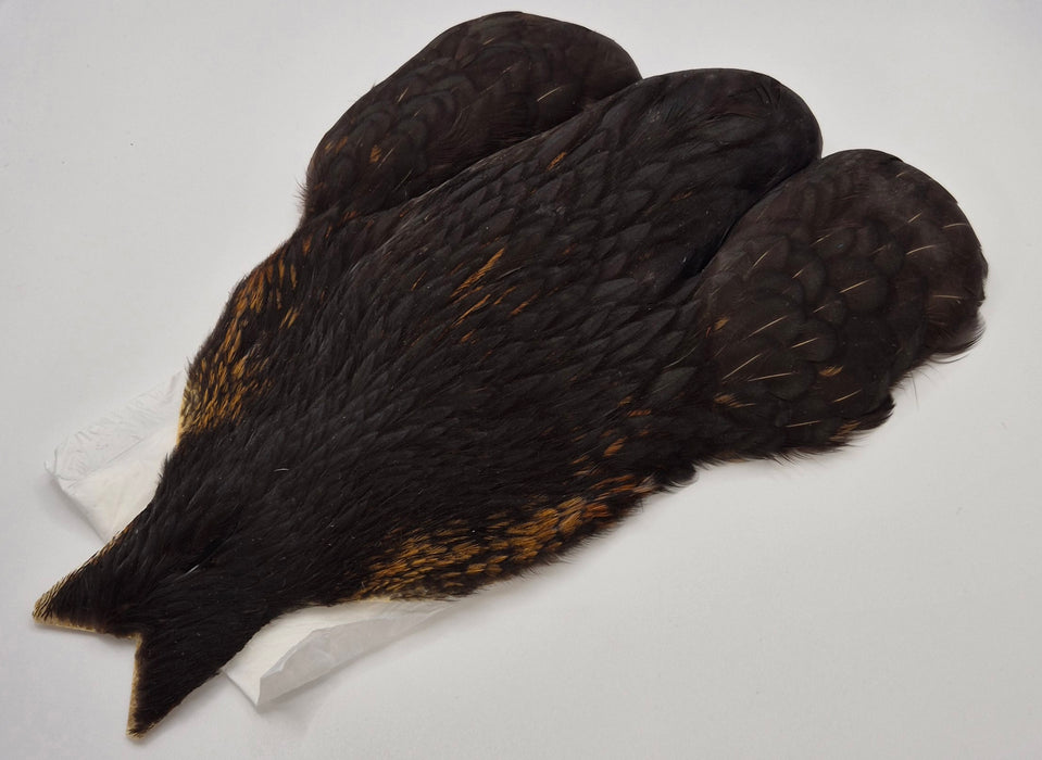 Whiting Farms 4Bs Hen Cape