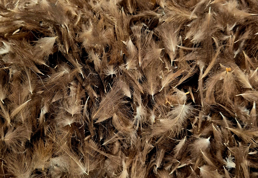 CDC Feathers Natural Dark