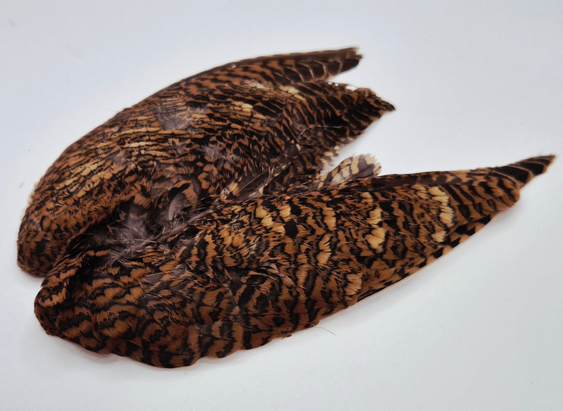 Veniard Woodcock Wings