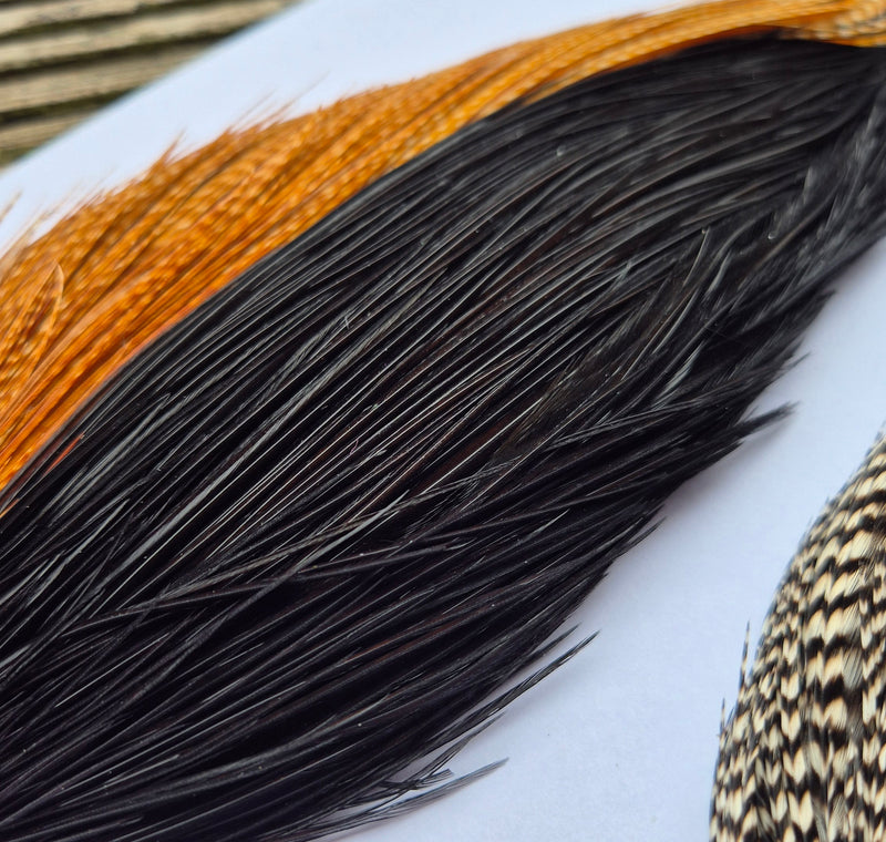 Whiting Farms Introductory Hackle Pack - Four Half Capes