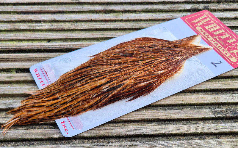 Whiting Farms - Hen Cape