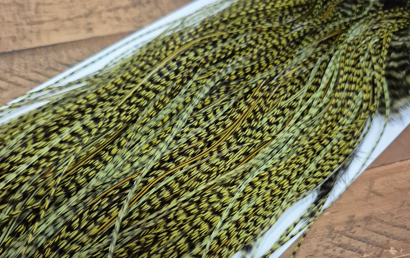 Whiting Farms - Pro Grade Midge Saddle - Grizzly Dyed Olive