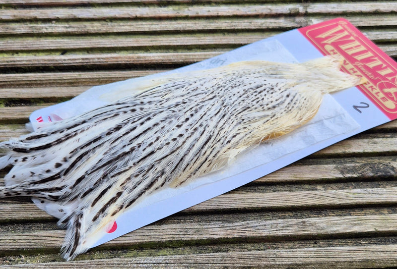 Whiting Farms - Hen Cape