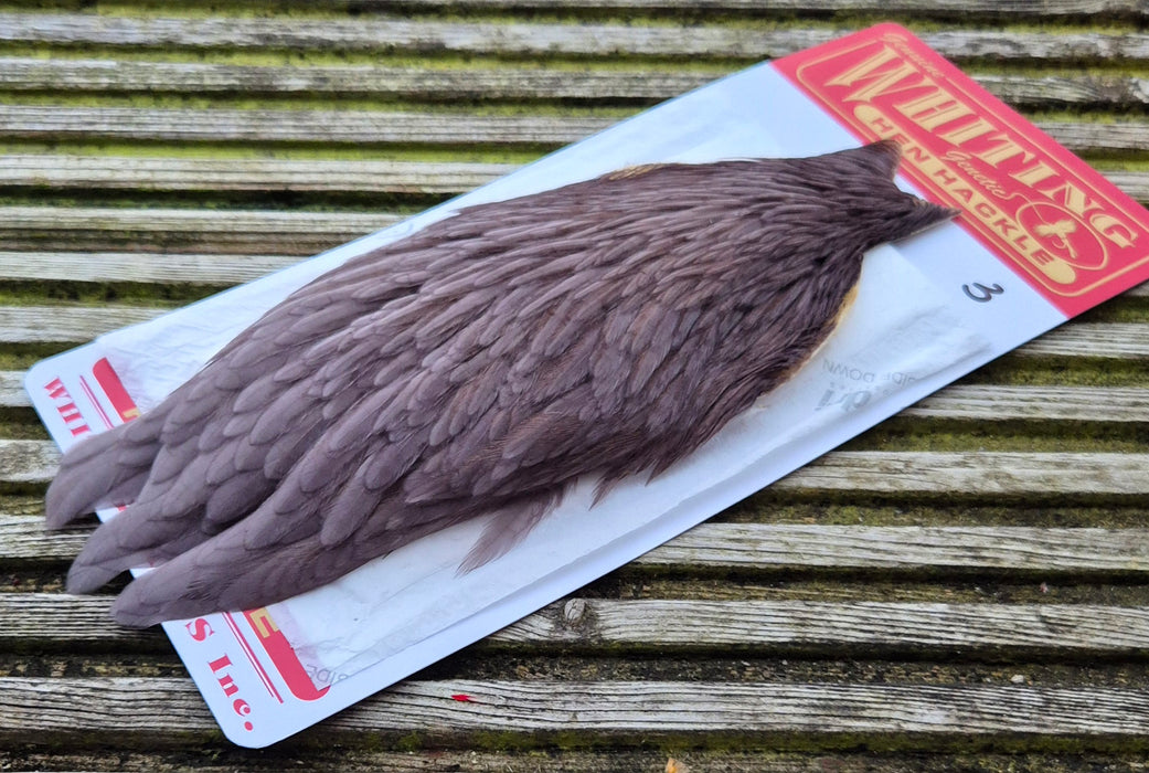 Whiting Farms - Hen Cape