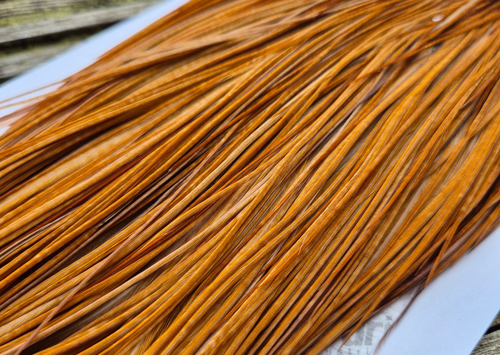 Whiting Farms - Commercial Grade Dry Fly Rooster Cape - Medium Ginger