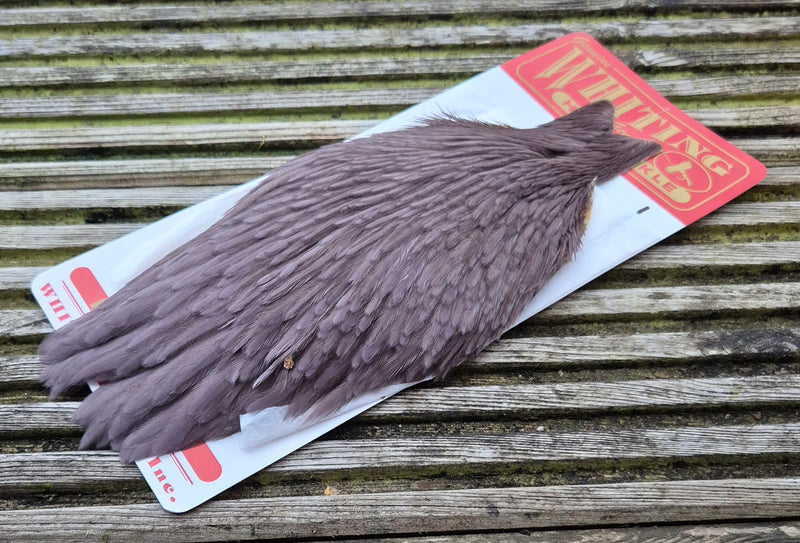 Whiting Farms - Hen Cape