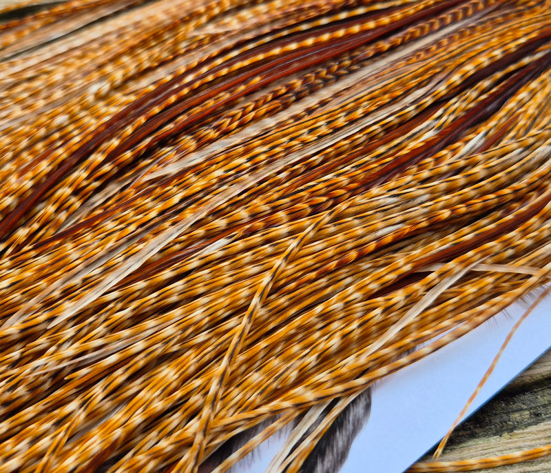 Whiting Farms - Commercial Grade Dry Fly Saddle - Barred Dark Ginger