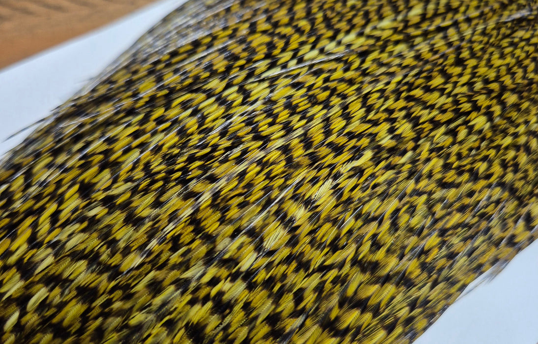 Whiting Farms - Commercial Grade Dry Fly Rooster Cape - Grizzly Dyed Dark Olive