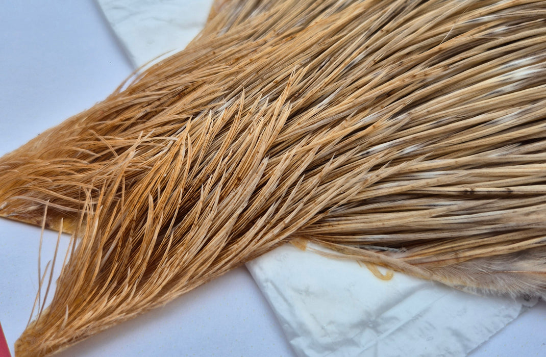 Whiting Farms - Commercial Grade Dry Fly Rooster Cape - Natural Dun