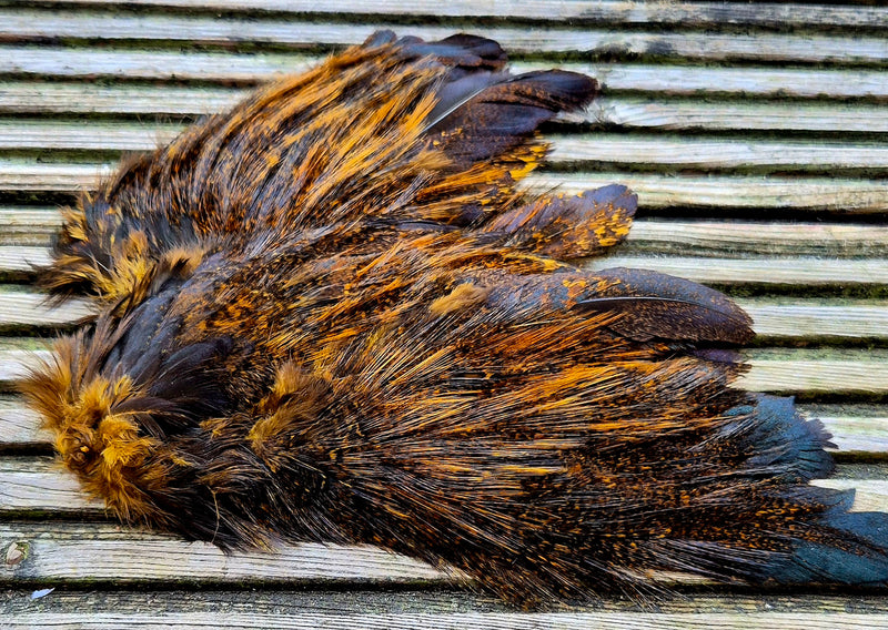 Whiting Farms - Coq de Leon Mayfly Tailing Pack