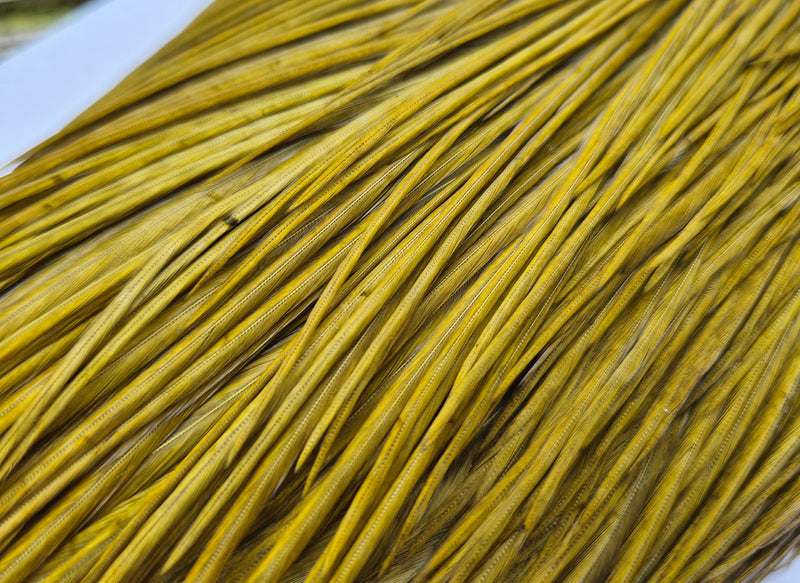 Whiting Farms - Commercial Grade Dry Fly Rooster Cape - White Dyed Dark Olive