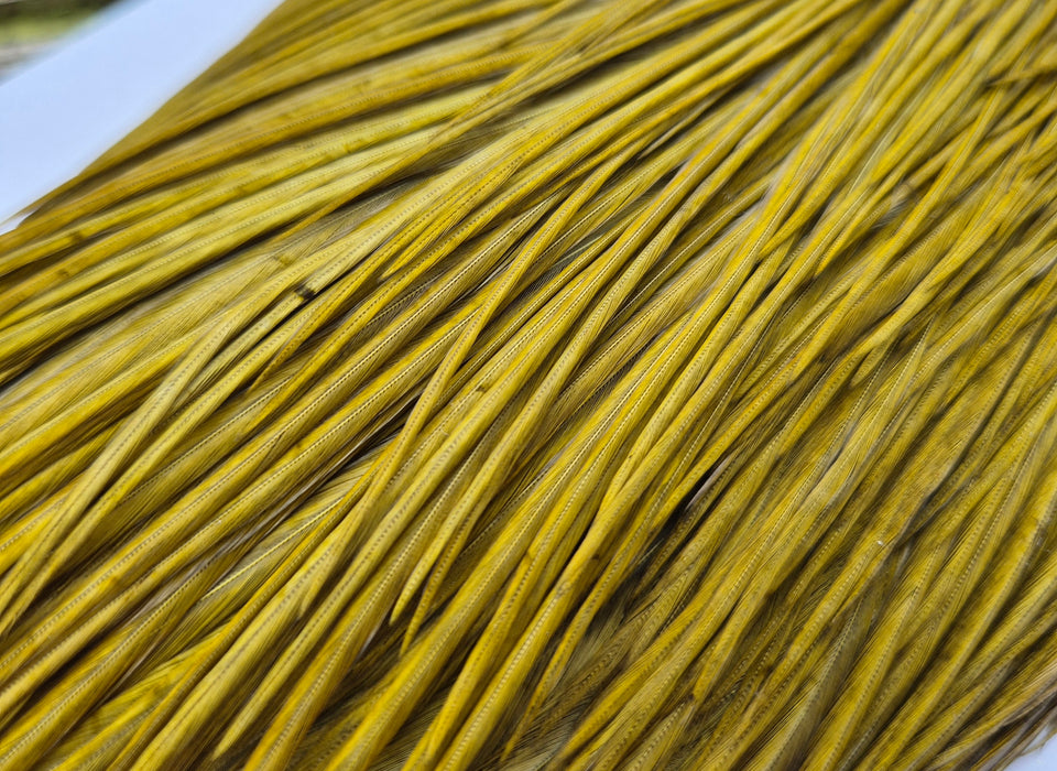 Whiting Farms - Commercial Grade Dry Fly Rooster Cape - White Dyed Dark Olive