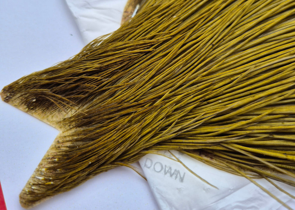 Whiting Farms - Commercial Grade Dry Fly Rooster Cape - White Dyed Dark Olive