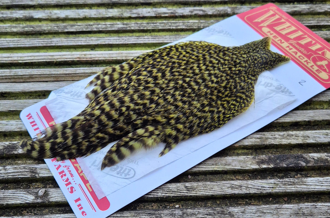 Whiting Farms - Hen Cape