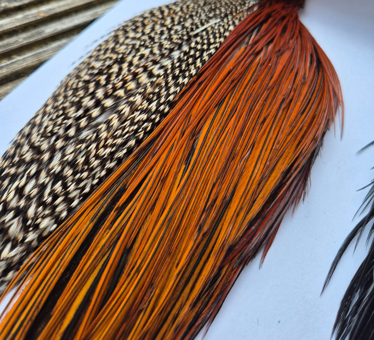 Whiting Farms Introductory Hackle Pack - Four Half Capes