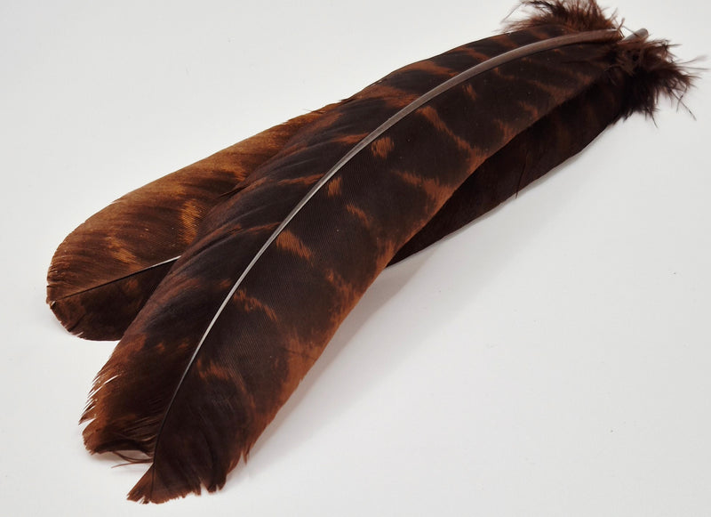 Nature's Spirit - Ozark Barred Turkey Quills