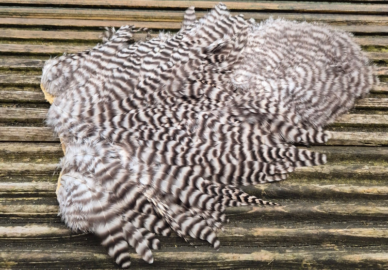 Whiting Farms -  Rooster Soft Hackle/Chickabou