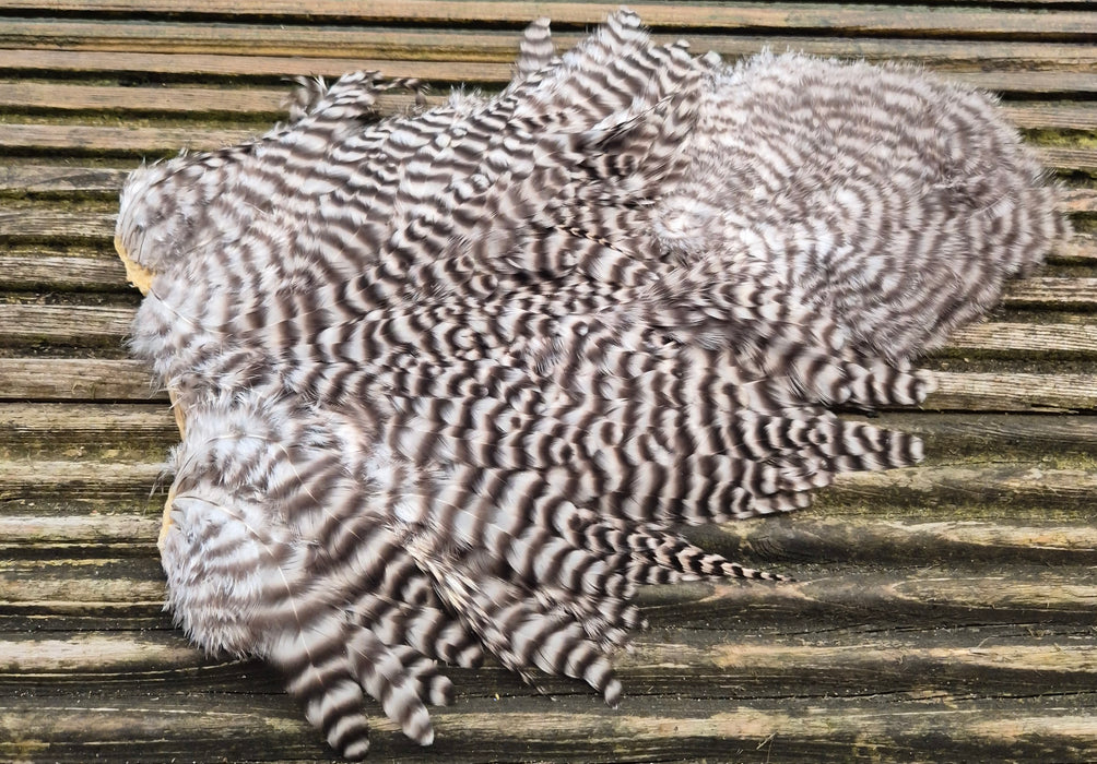 Whiting Farms -  Rooster Soft Hackle/Chickabou