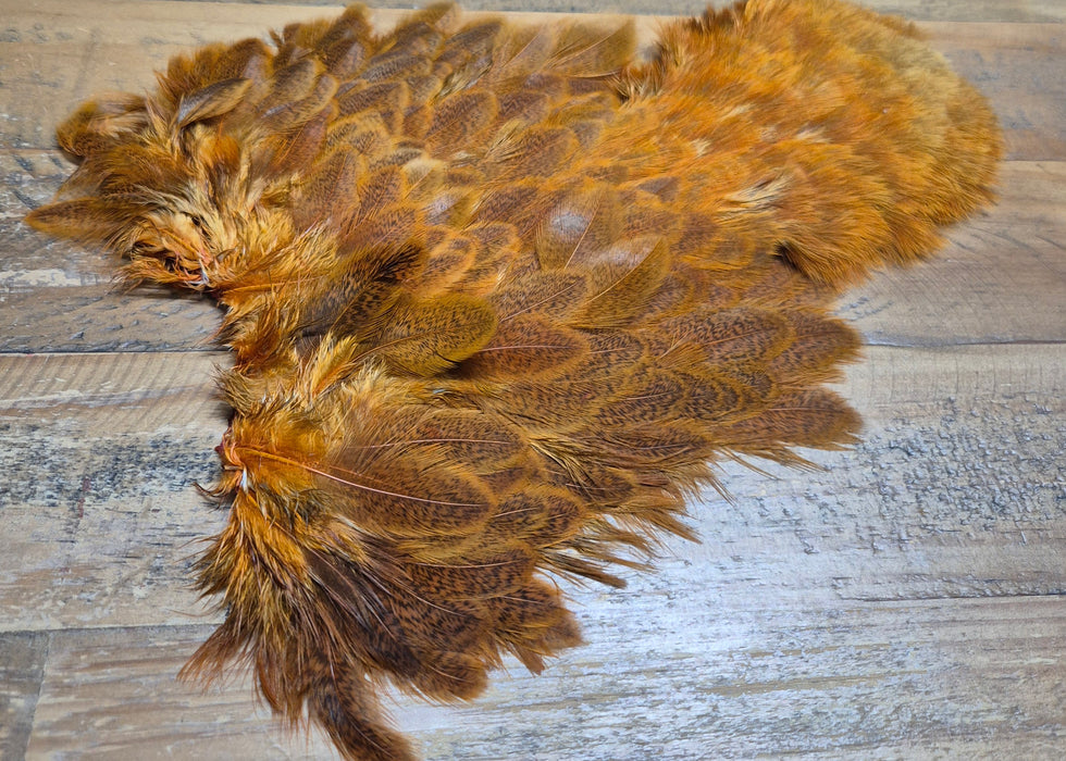 Whiting Farms - Brahma Hen Soft Hackle/Chickabou