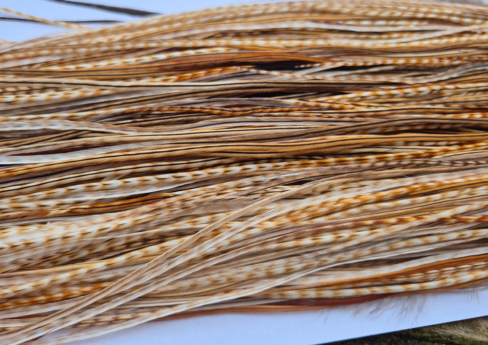 Whiting Farms - Commercial Grade Dry Fly Saddle - Barred Medium Ginger