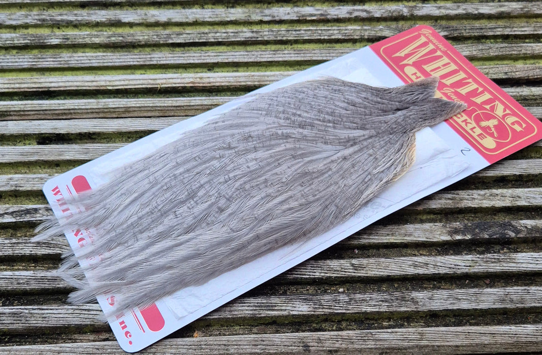 Whiting Farms - Hen Cape