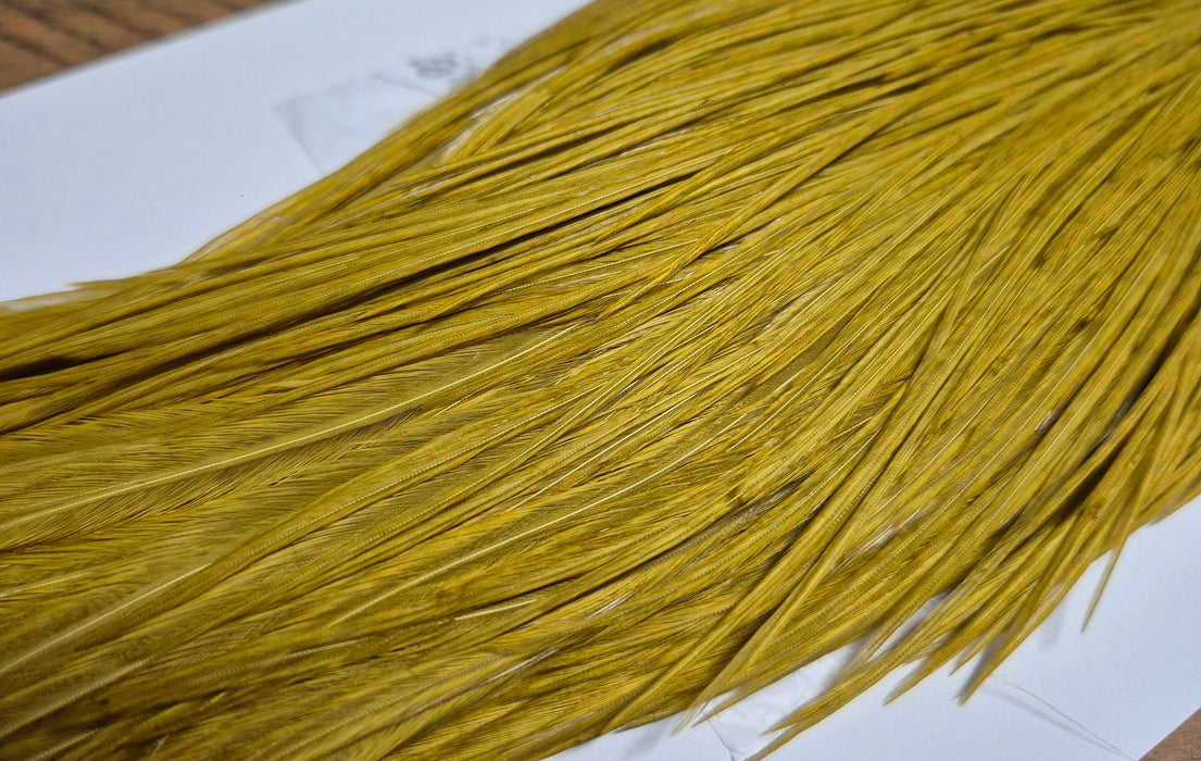 Whiting Farms - Commercial Grade Dry Fly Rooster Cape - White Dyed Golden Olive