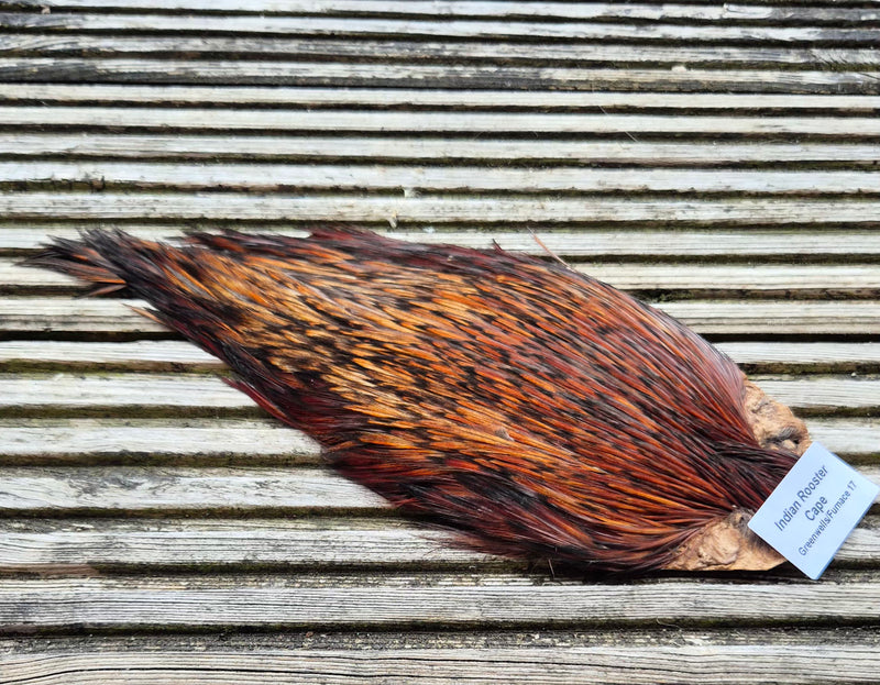 Indian Rooster Cape