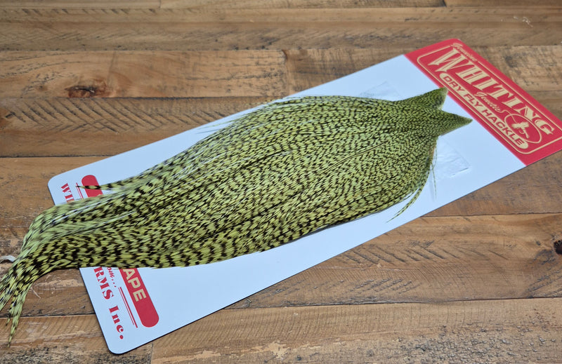 Whiting Farms - Commercial Grade Dry Fly Rooster Cape - Grizzly Dyed Olive