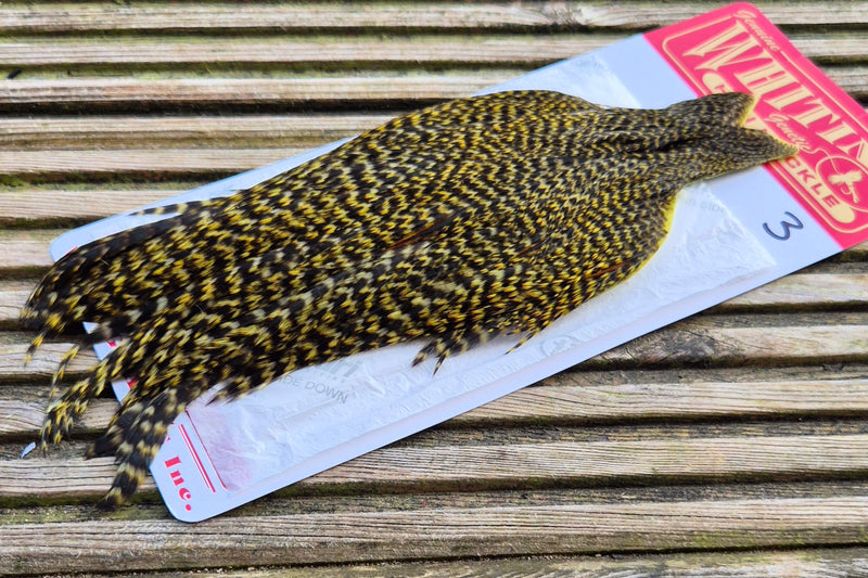 Whiting Farms - Hen Cape