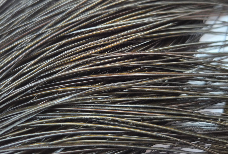 Whiting Farms - Commercial Grade Dry Fly Rooster Cape - Black