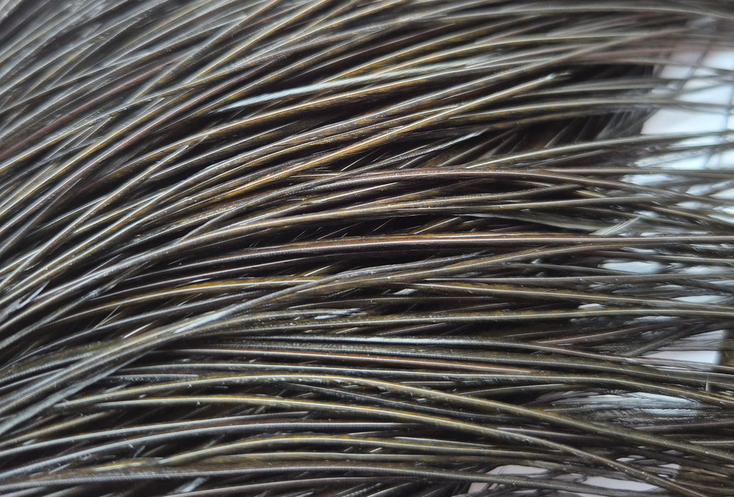 Whiting Farms - Commercial Grade Dry Fly Rooster Cape - Black