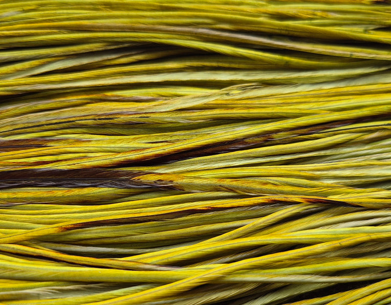 Whiting Farms - Pro Grade Midge Saddle - White Dyed Olive