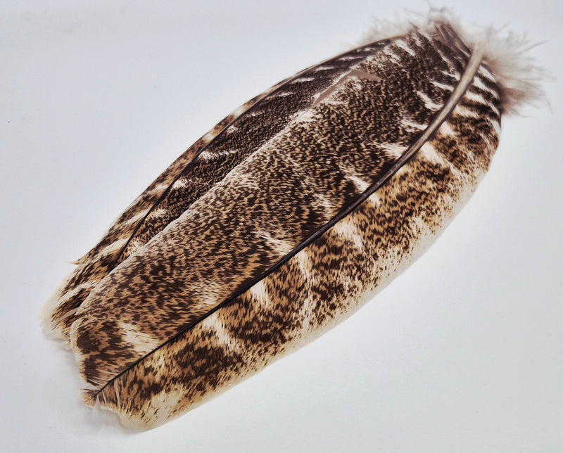 Veniard Oak Mottled Turkey Wing Quills 1st Quality