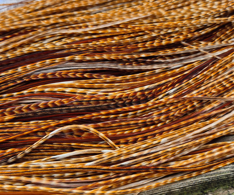 Whiting Farms - Commercial Grade Dry Fly Saddle - Barred Dark Ginger