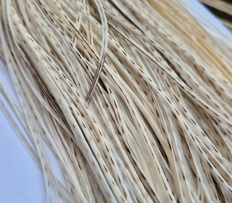 Whiting Farms - Commercial Grade Dry Fly Saddle - Unique Variant