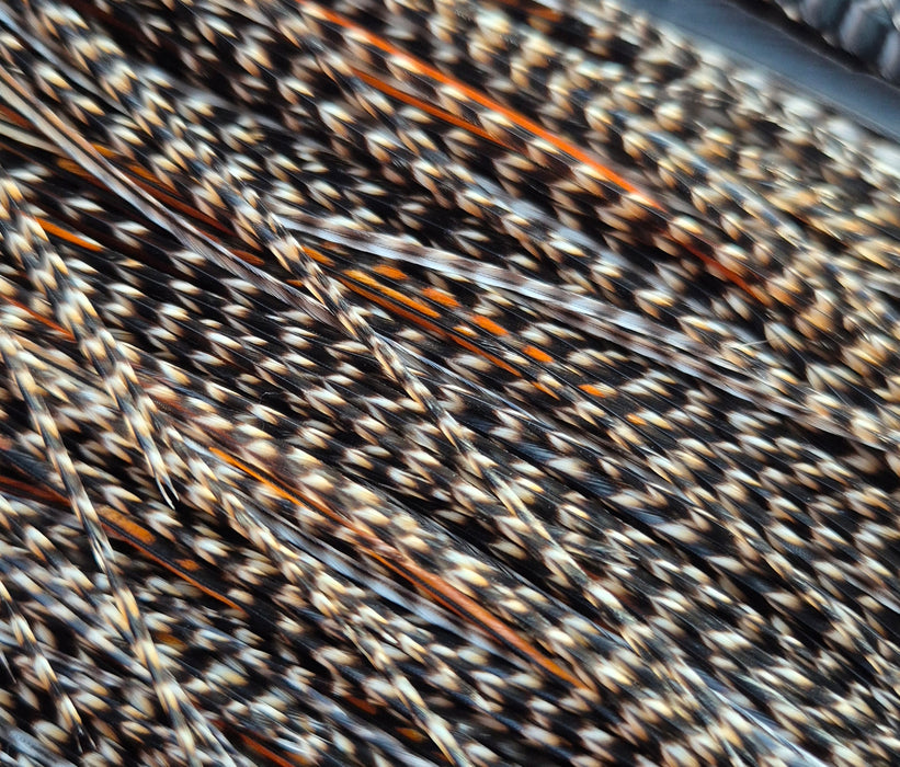 Whiting Farms - Pro Grade Midge Saddle - Grizzly Variant (Almost Cree)