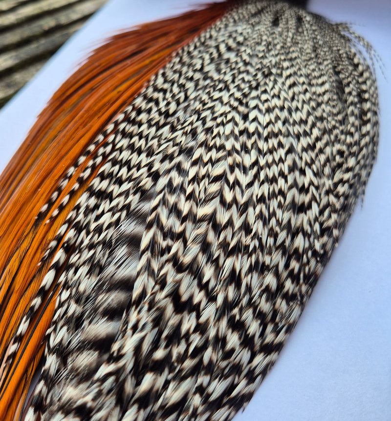 Whiting Farms Introductory Hackle Pack - Four Half Capes