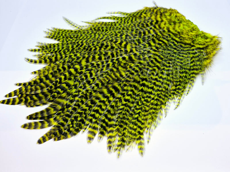 Whiting Farms 4B Rooster Saddle