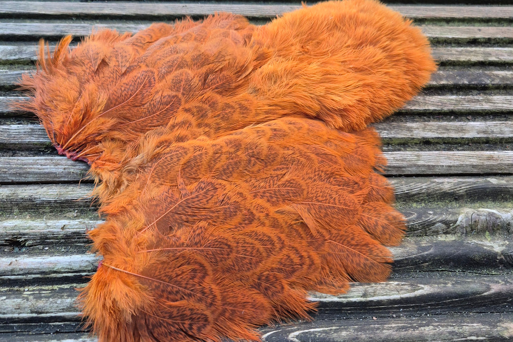 Whiting Farms - Brahma Hen Soft Hackle/Chickabou