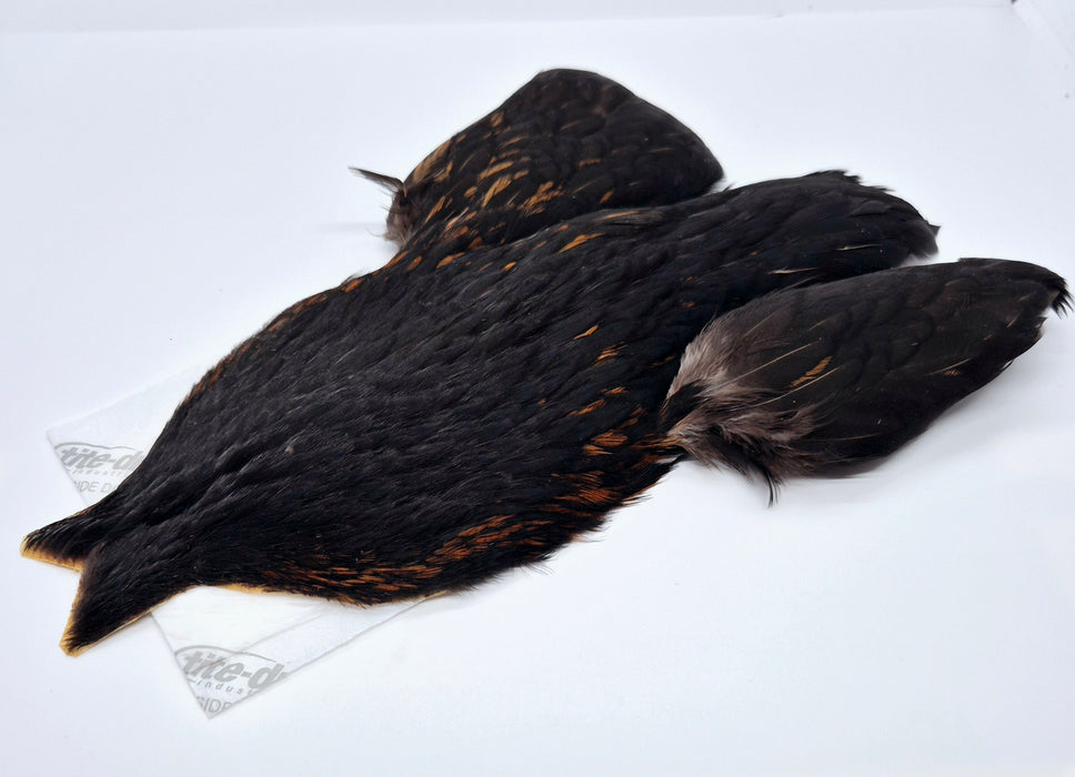 Whiting Farms 4Bs Hen Cape