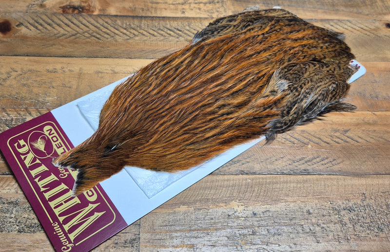 Whiting Farms - Coq de Leon Hen Capes