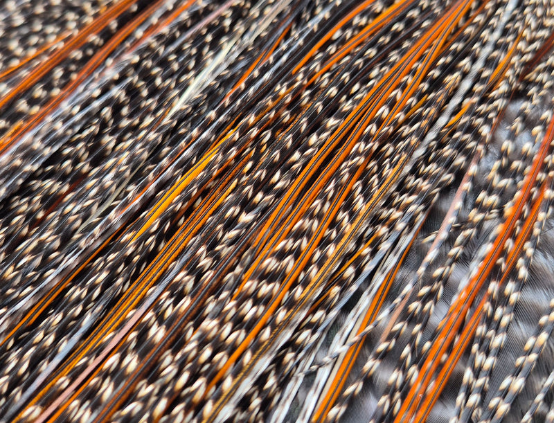 Whiting Farms - Pro Grade Midge Saddle - Cree 2