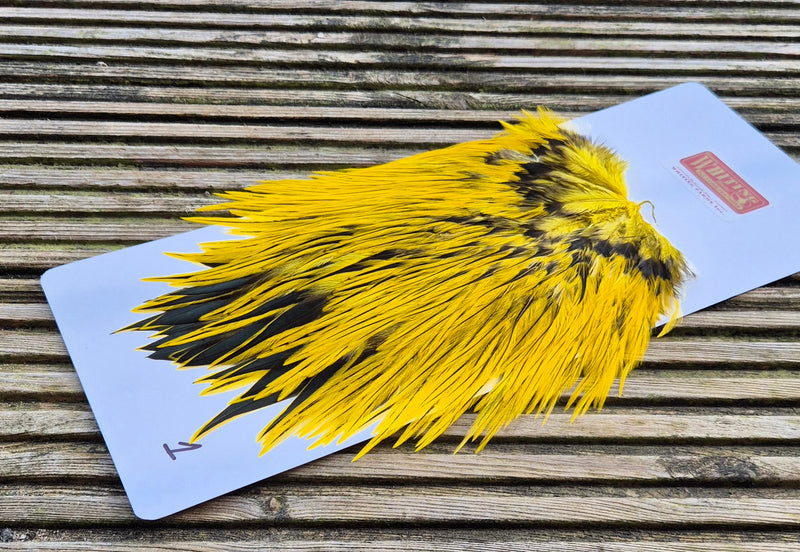 Whiting Farms - Brahma Rooster Saddle