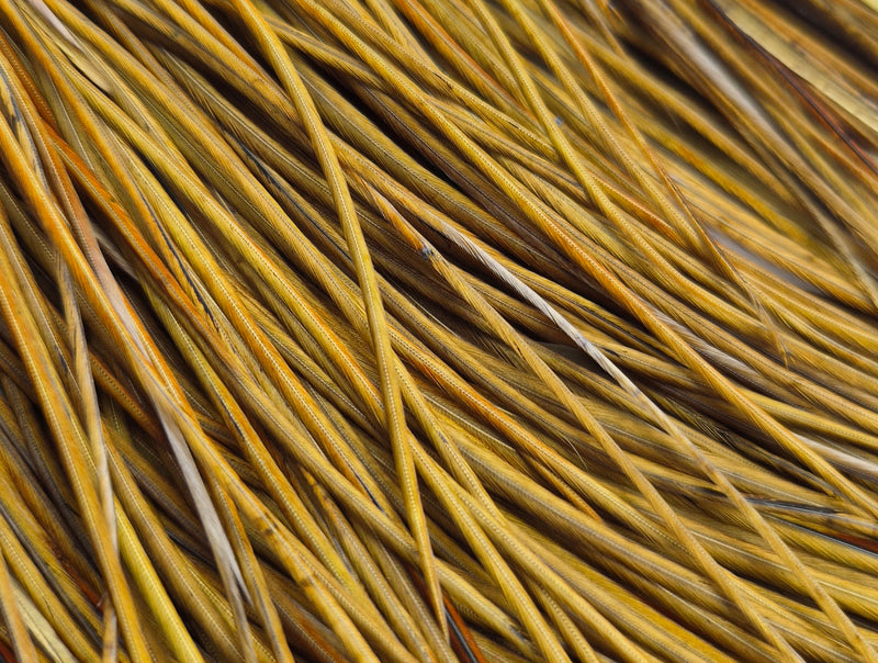 Whiting Farms - Pro Grade Midge Saddle - White Dyed Dark Olive