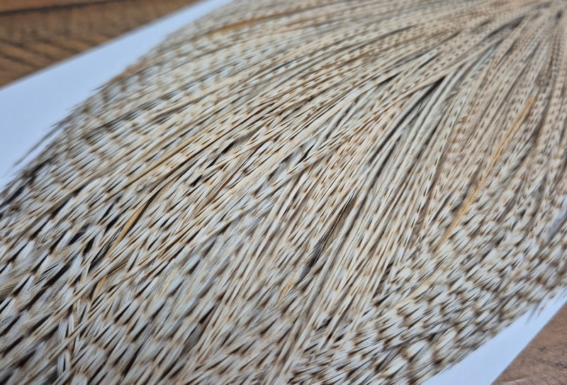 Whiting Farms - Commercial Grade Dry Fly Rooster Cape - Unique Variant