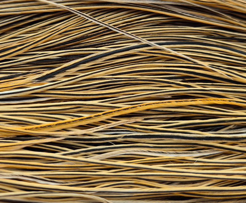 Whiting Farms - Pro Grade Midge Saddle - Golden Badger 1